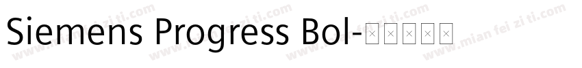 Siemens Progress Bol字体转换